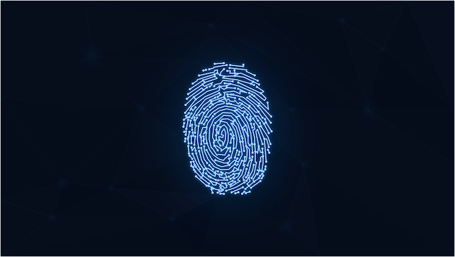 A Digital Fingerprint