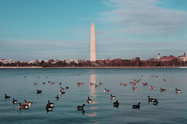A photo of Washington