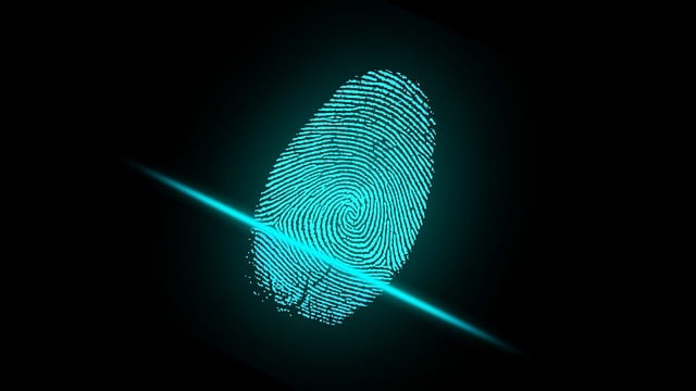 An electronic fingerprint 