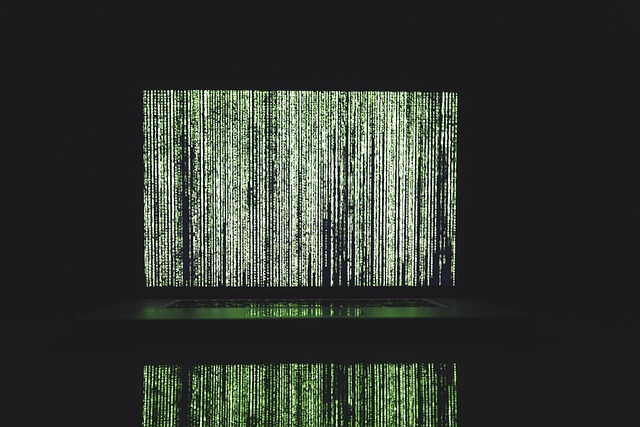 5. Malware Prevention And Detection