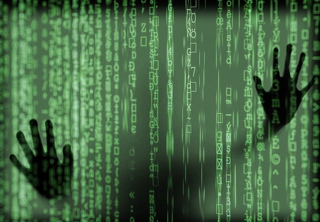 Keeping Your Business Safe: The Importance of Personnel Security