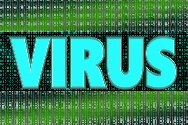 computer, virus, trojan