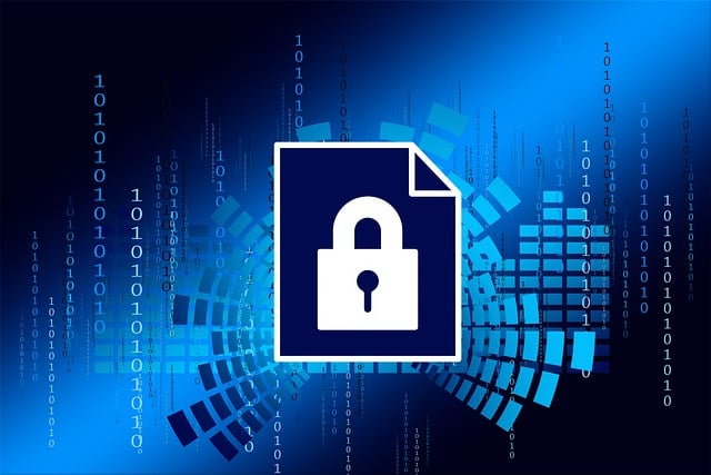 security, privacy policy, digitization